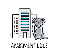 dogs apartment