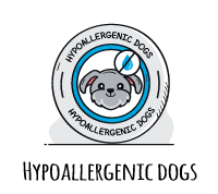 icon dogs hypoallergenic